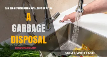 Can Old Refrigerated Cantaloupe Safely Go Down the Garbage Disposal?