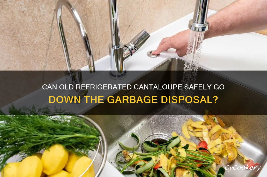 can old refrigerated cantaloupe be put in a garbage disposal