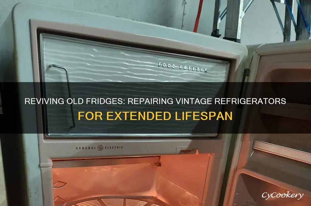 can old refrigerators be repaired