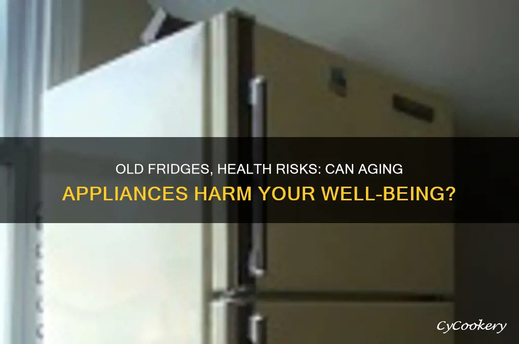 can old refrigerators make you sick