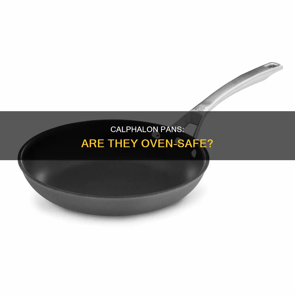 can older calphalon pans go in the oven