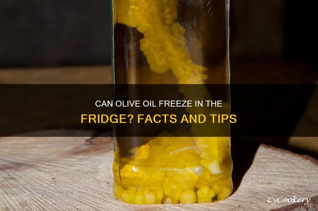 can olive oil freeze in the refrigerator
