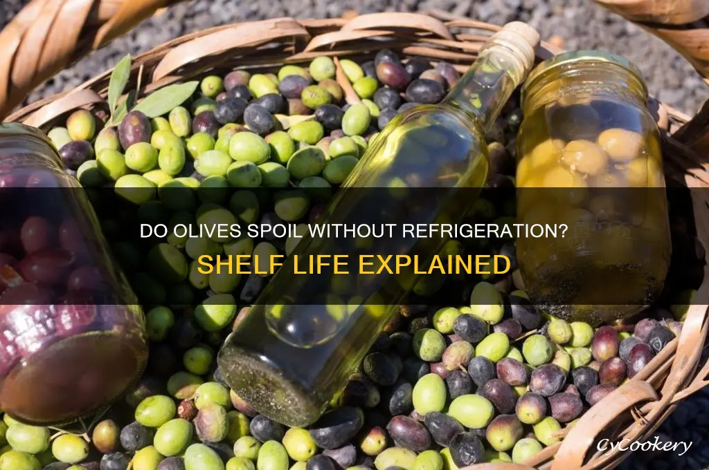 can olives go bad if not refrigerated