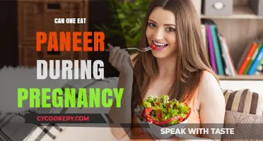 Pregnancy Diet: Is Paneer Safe?
