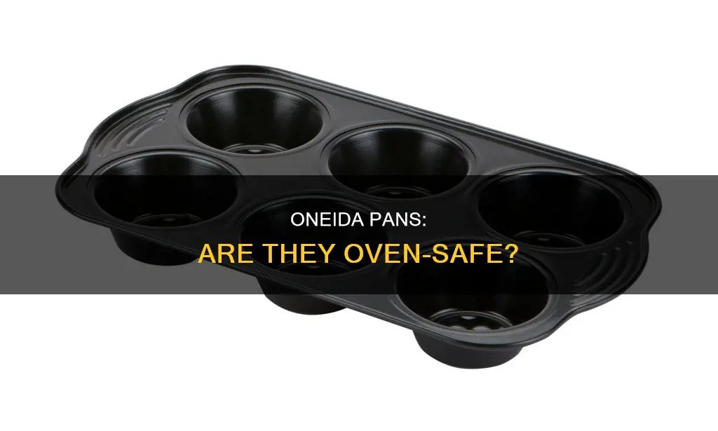 can oneida pans go in the oven