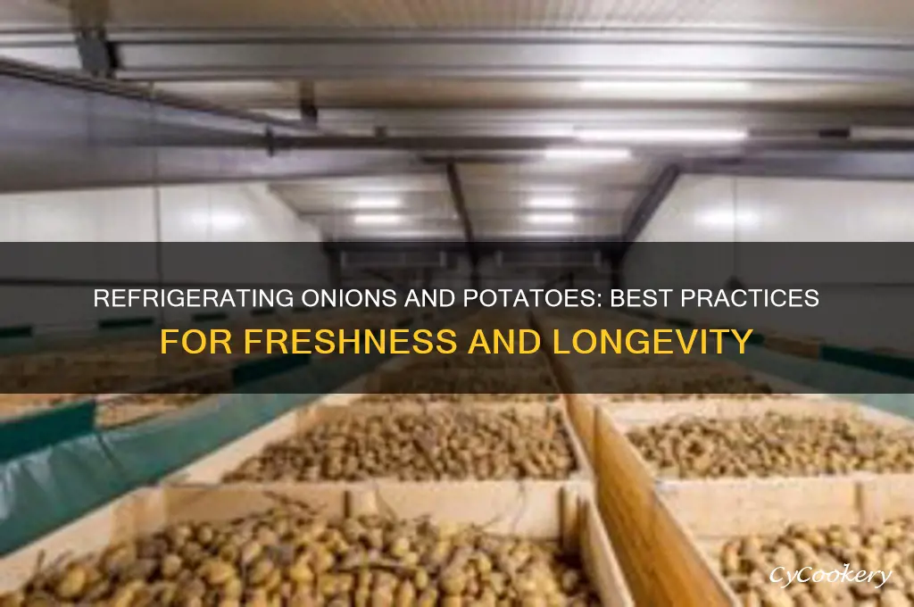 can onions and potatoes be stored in the refrigerator