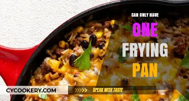 The Ultimate Frying Pan: One-Stop Cooking Solution