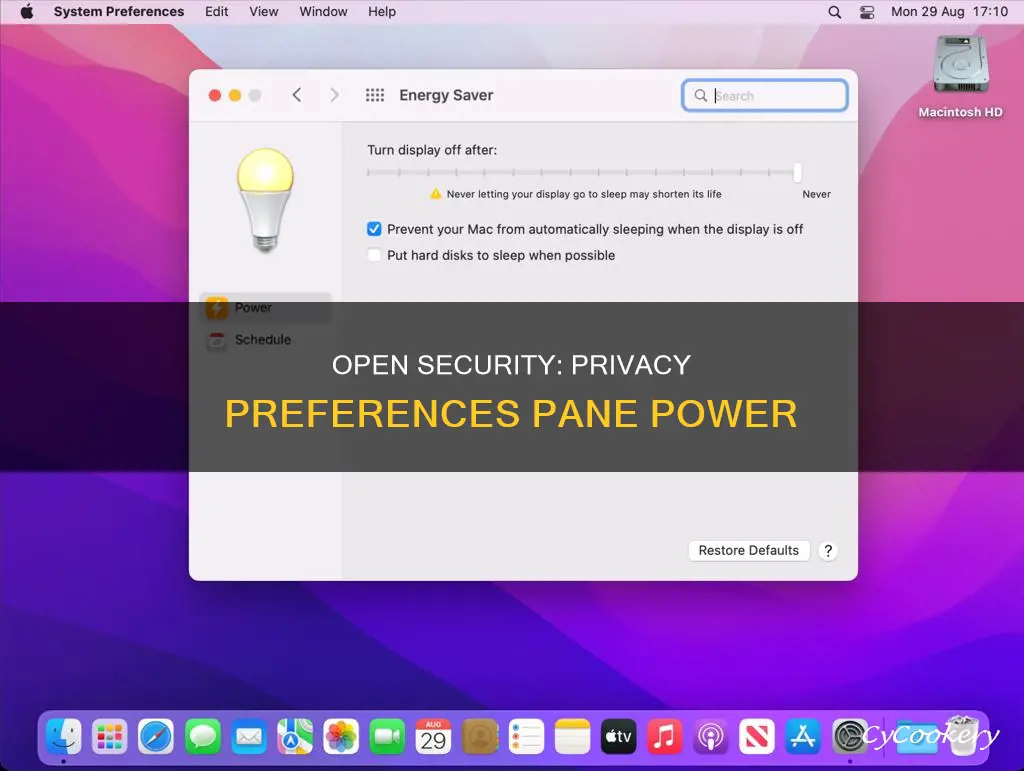 can open security privacy preferences pane