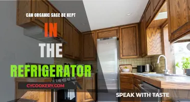 Storing Organic Sage: Refrigerator Tips for Freshness and Longevity