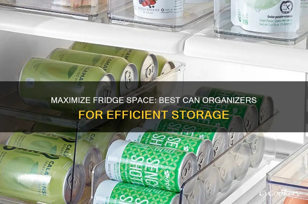 can organizer for refrigerator