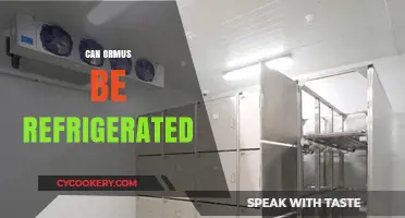 Should You Refrigerate Ormus? Storage Tips for Optimal Preservation