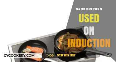 Induction Cooking: Are Our Place Pans Compatible?