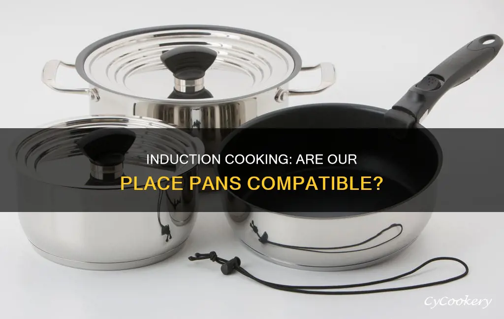can our place pans be used on induction