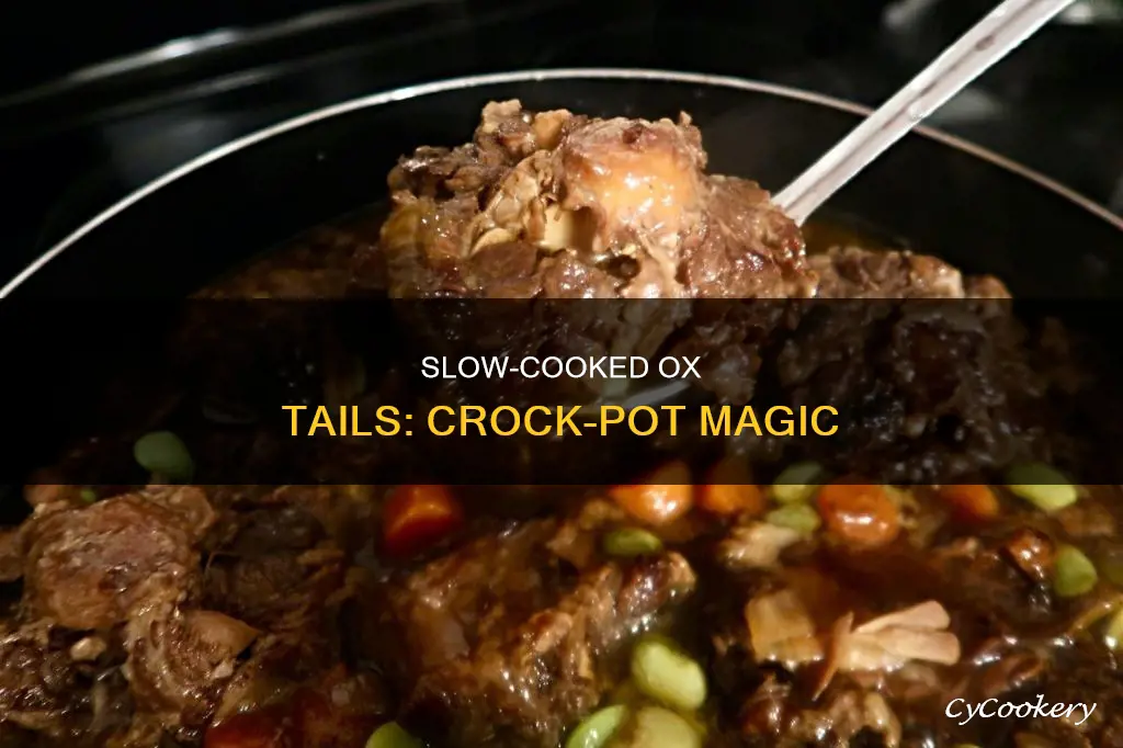 can ox tails be cooked in a crock pot