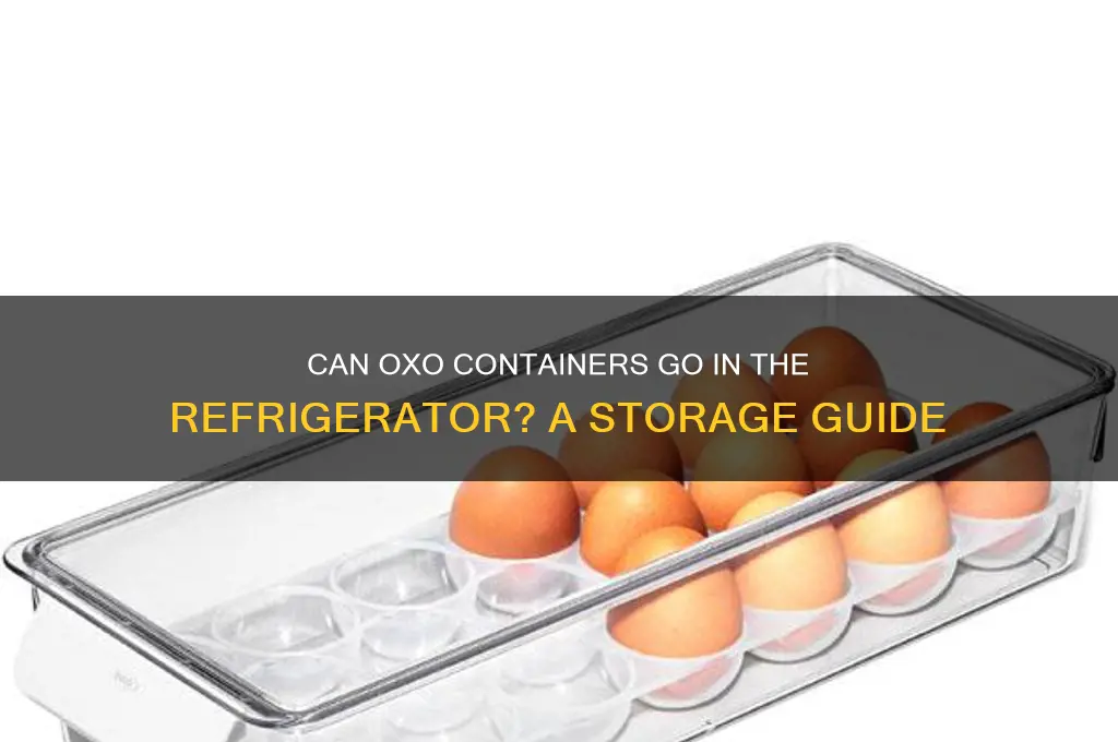 can oxo containers go in the refrigerator