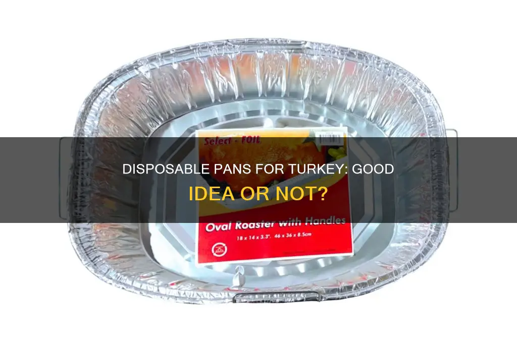 can oyu use a disposable pan for aturkey
