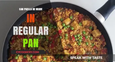 Paella: Can You Use a Regular Pan?