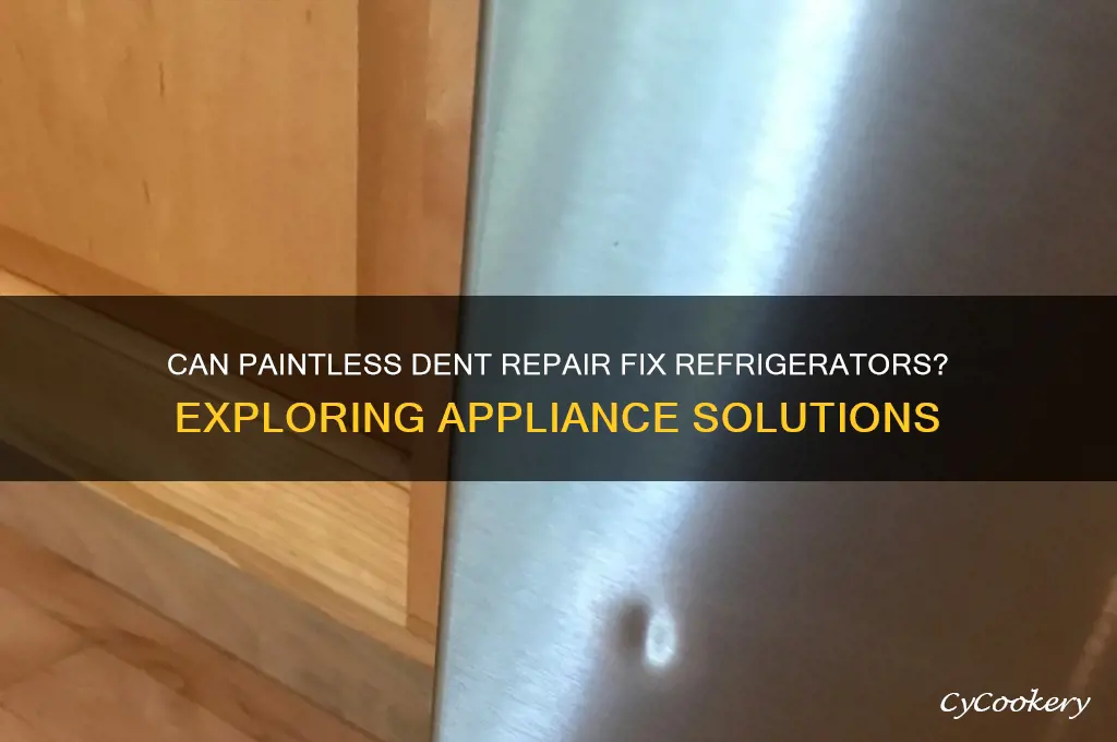 can paintless dent repair fix refrigerators