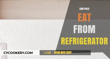 Can Pals Safely Eat Food from the Refrigerator? A Guide