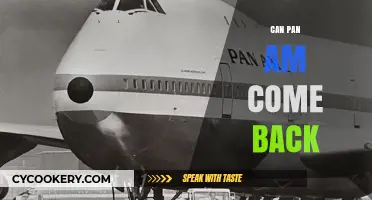 The Revival of Pan Am: Is It Possible?