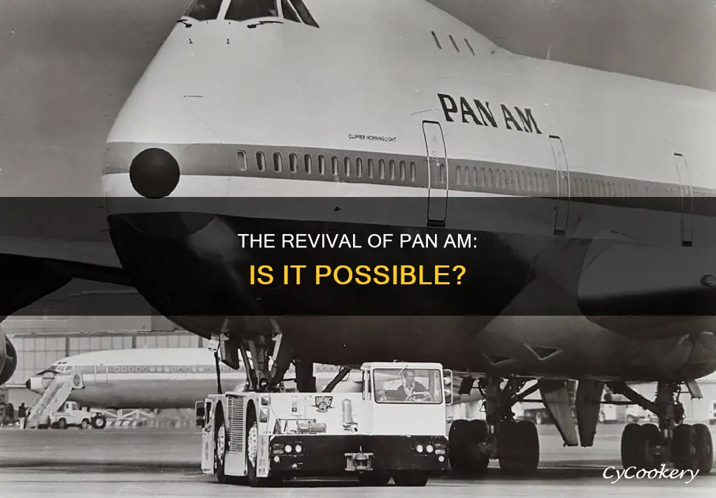 can pan am come back