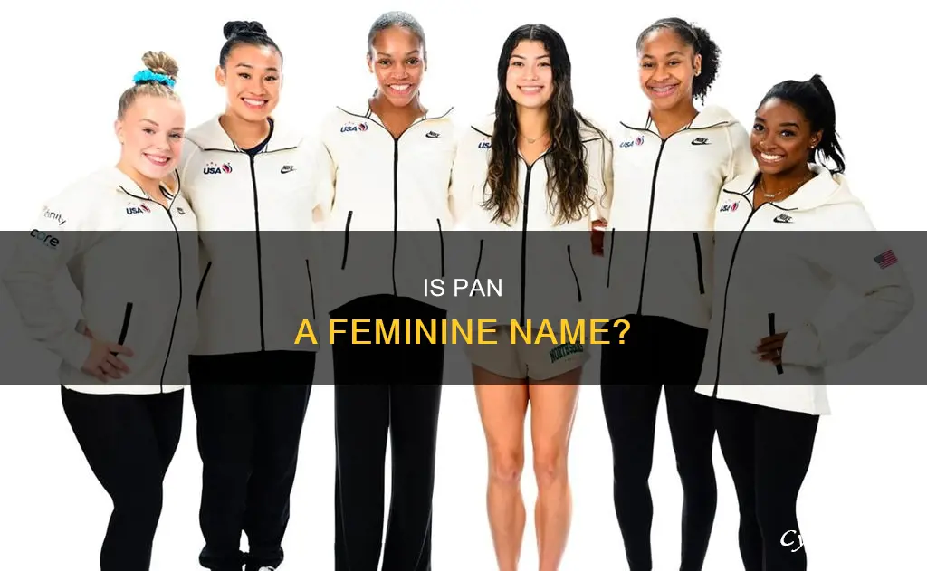 can pan be a girl name