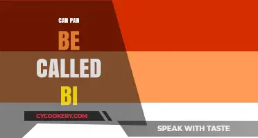 Pansexuality: Understanding the Bi Umbrella