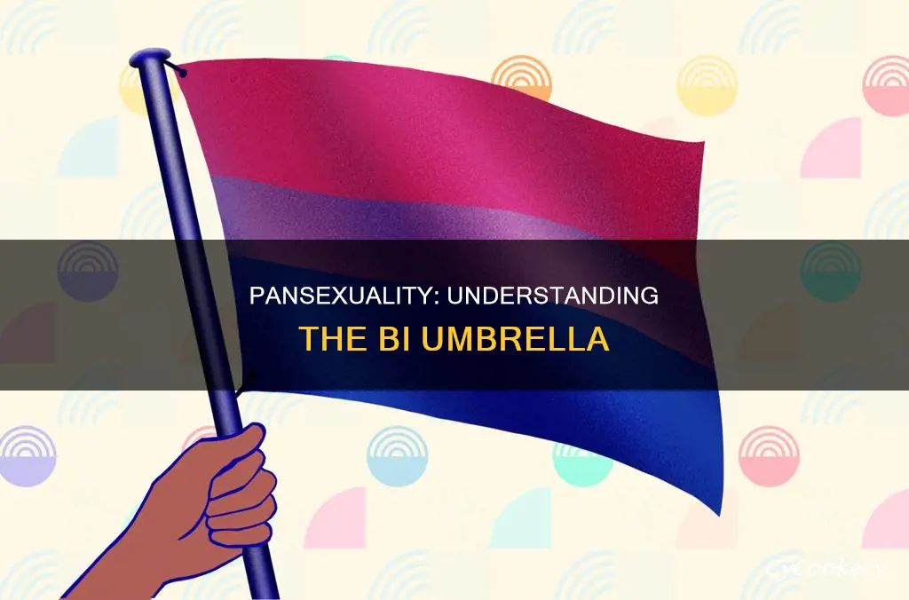 can pan be called bi