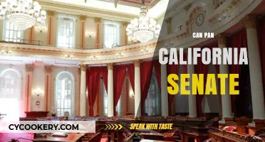 Pan-California Senate: A Statewide Vision