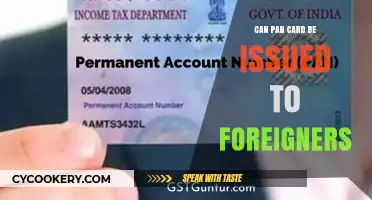 PAN Card Accessibility for Foreigners in India