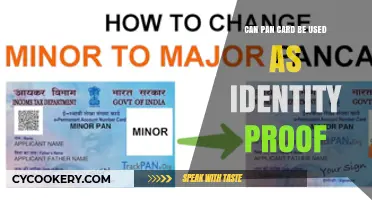 Using PAN Cards as Identity Proof: Is It Valid?