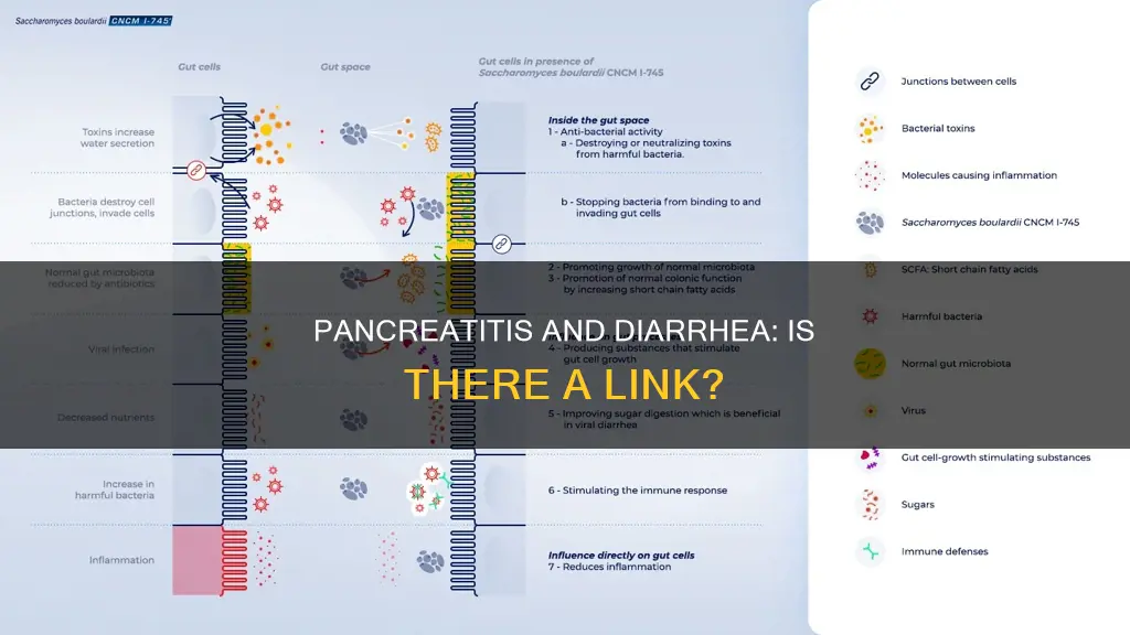 can pan d cause diarrhea