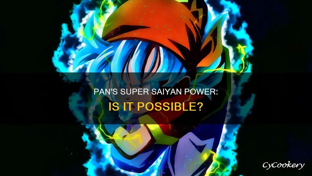 can pan from dragon ball gt go super saiyan