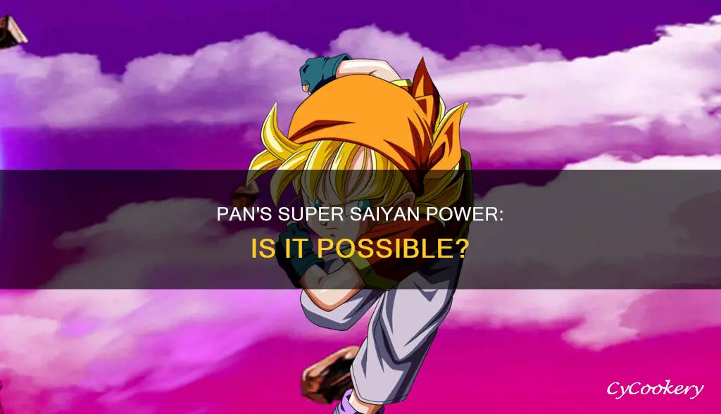 can pan go super saiyan