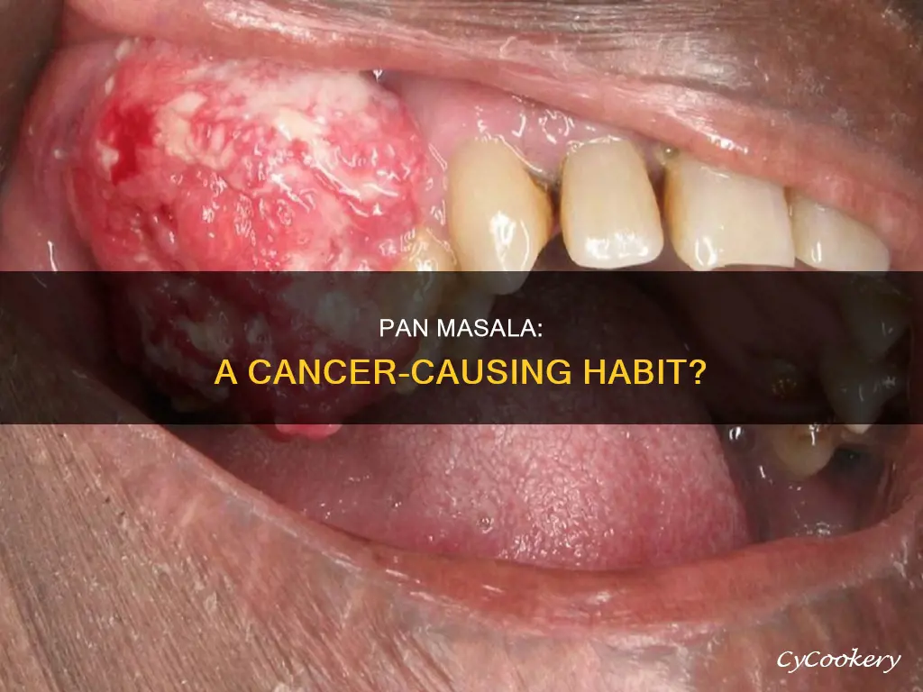 can pan masala cause cancer