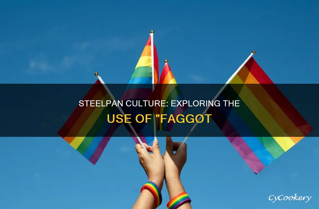 can pan people say faggot