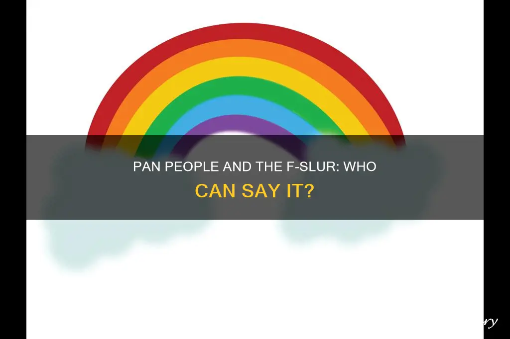 can pan people say the f slur