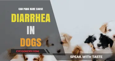 Pana Kare: A Dog's Diarrhea Culprit?