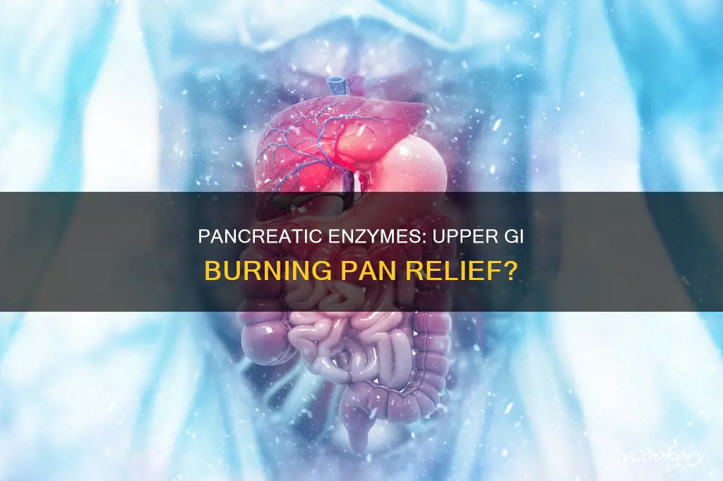 can pancreatic enzymes cause upper gi burning pan