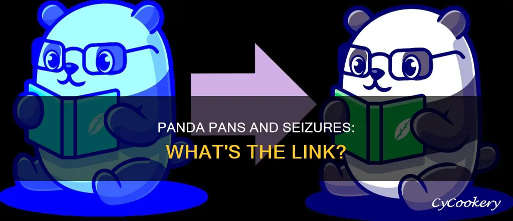 can panda pans lead to seizures
