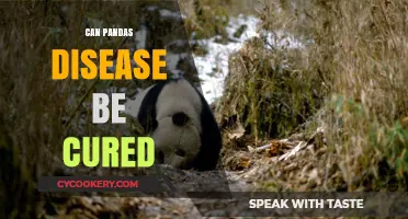 Pandas and Their Cure: Hope for a Future