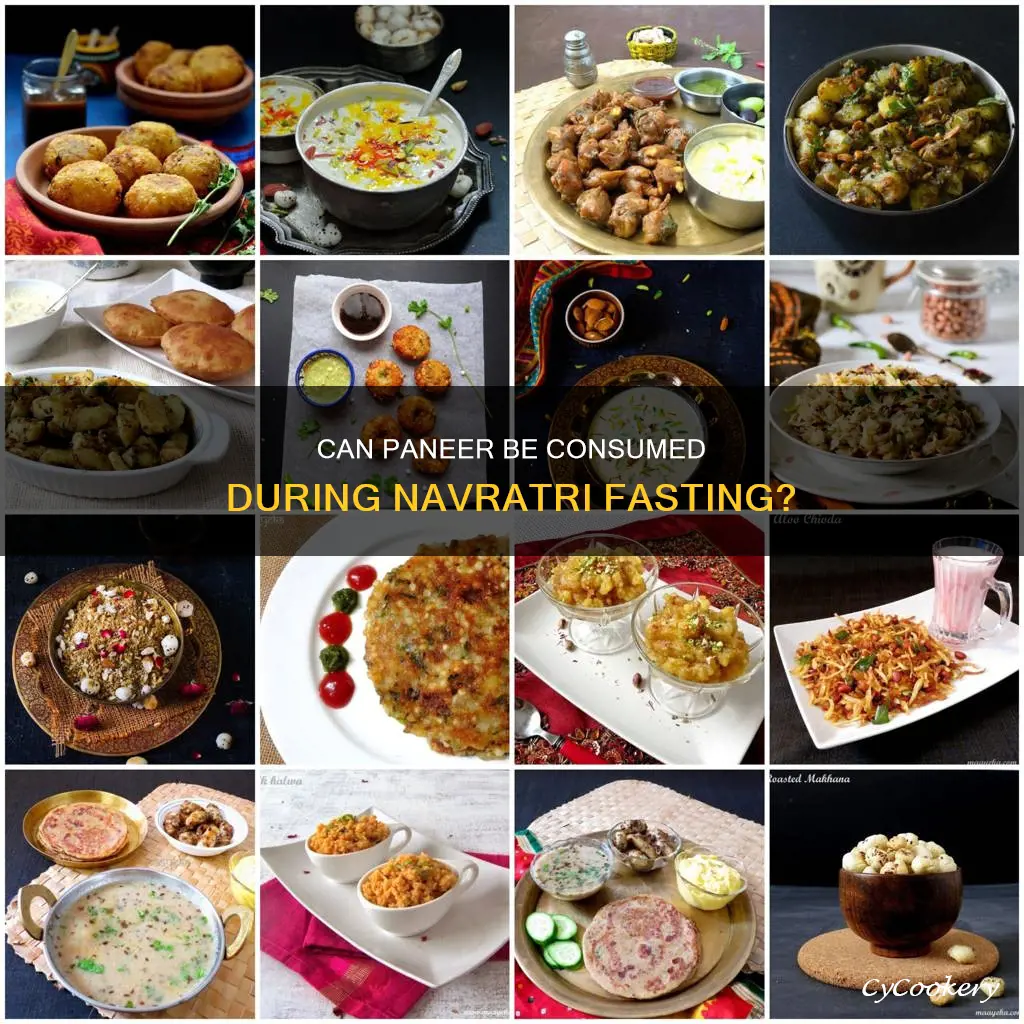 can paneer be eaten in navratri fast