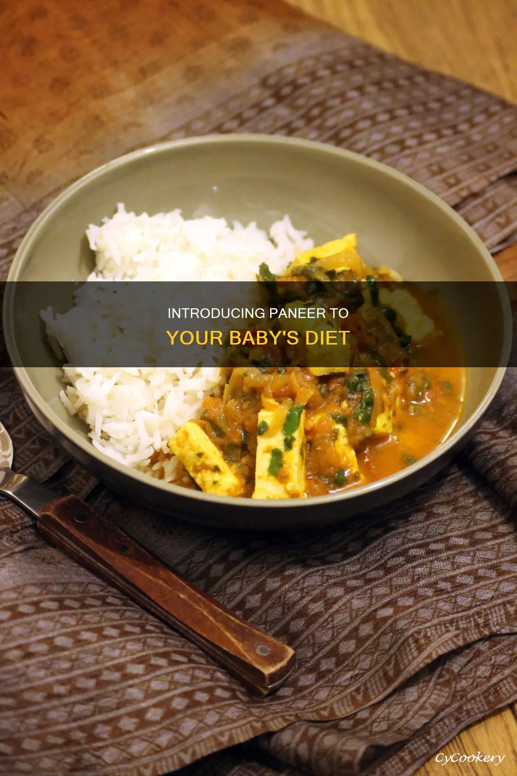 can paneer be given to babies