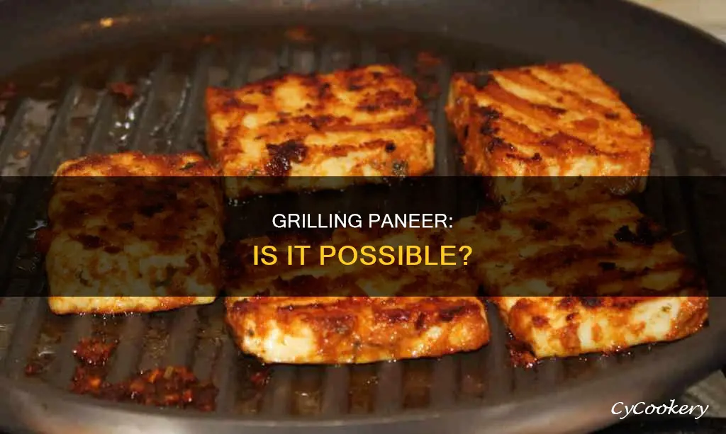 can paneer be grilled