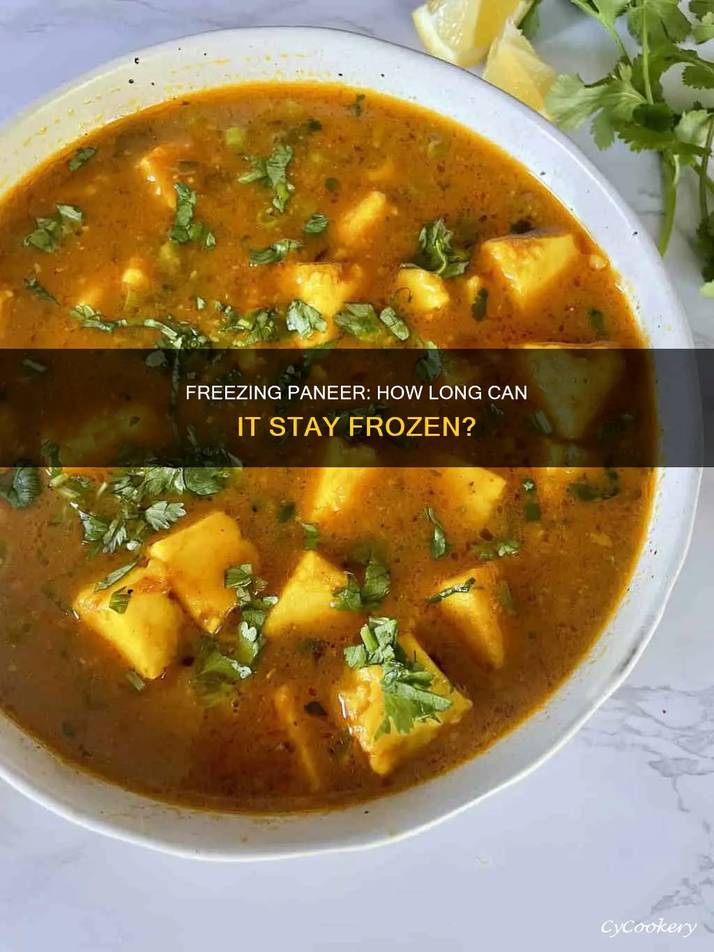 can paneer be kept in freezer