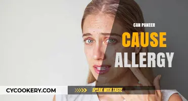 Paneer Allergies: What You Need to Know