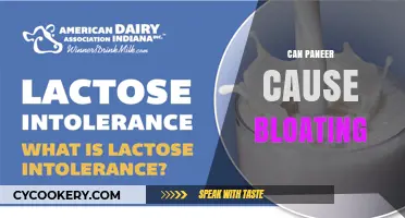 Paneer and Bloating: What's the Connection?