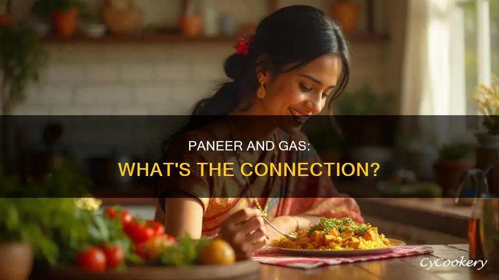 can paneer cause gas