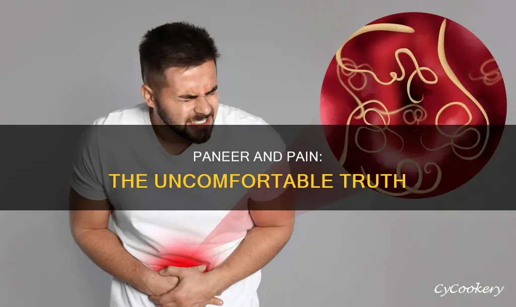 can paneer cause stomach pain
