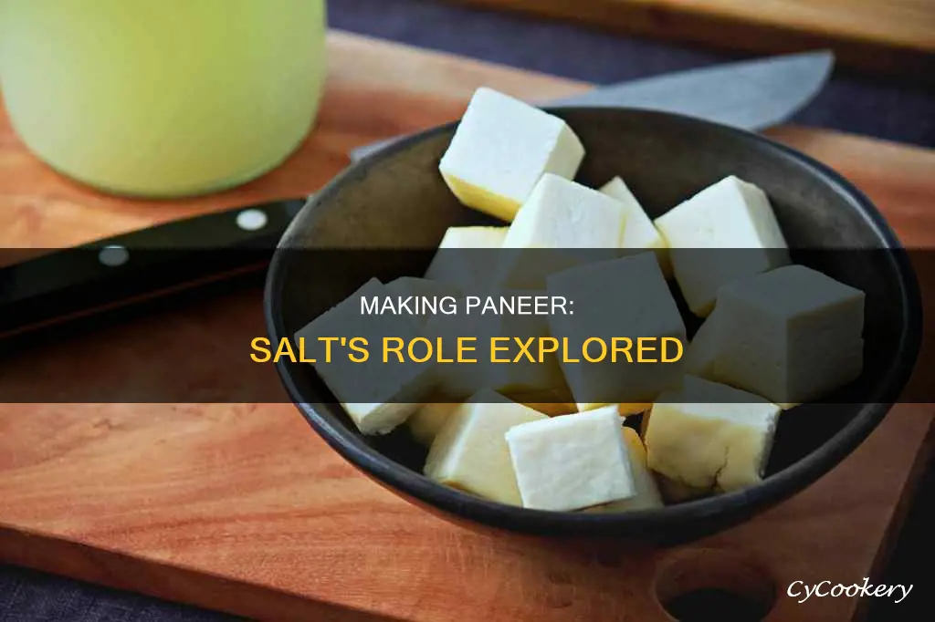 can paneer made from salt